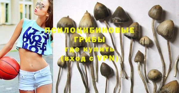 метадон Армянск