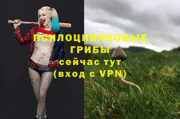 2c-b Аркадак